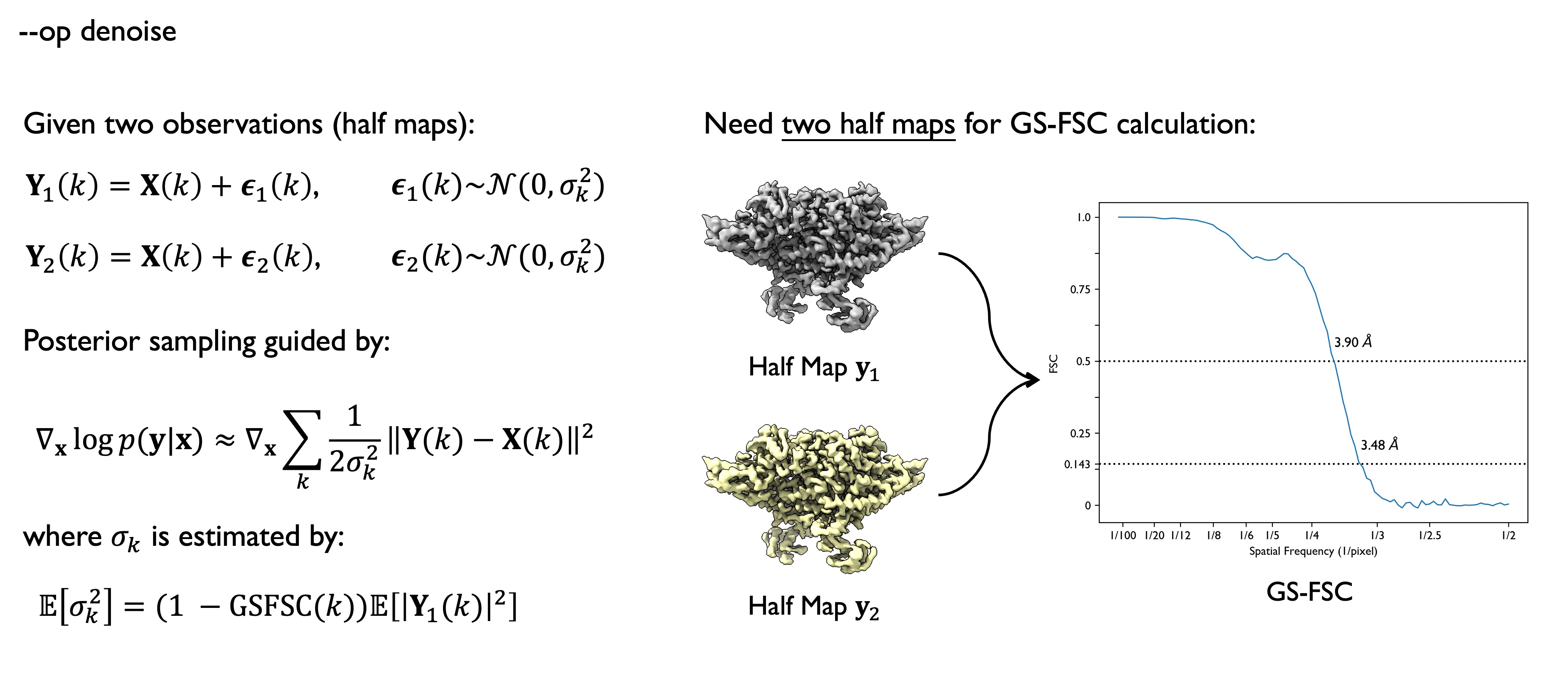 CryoFM2 operator denoise.