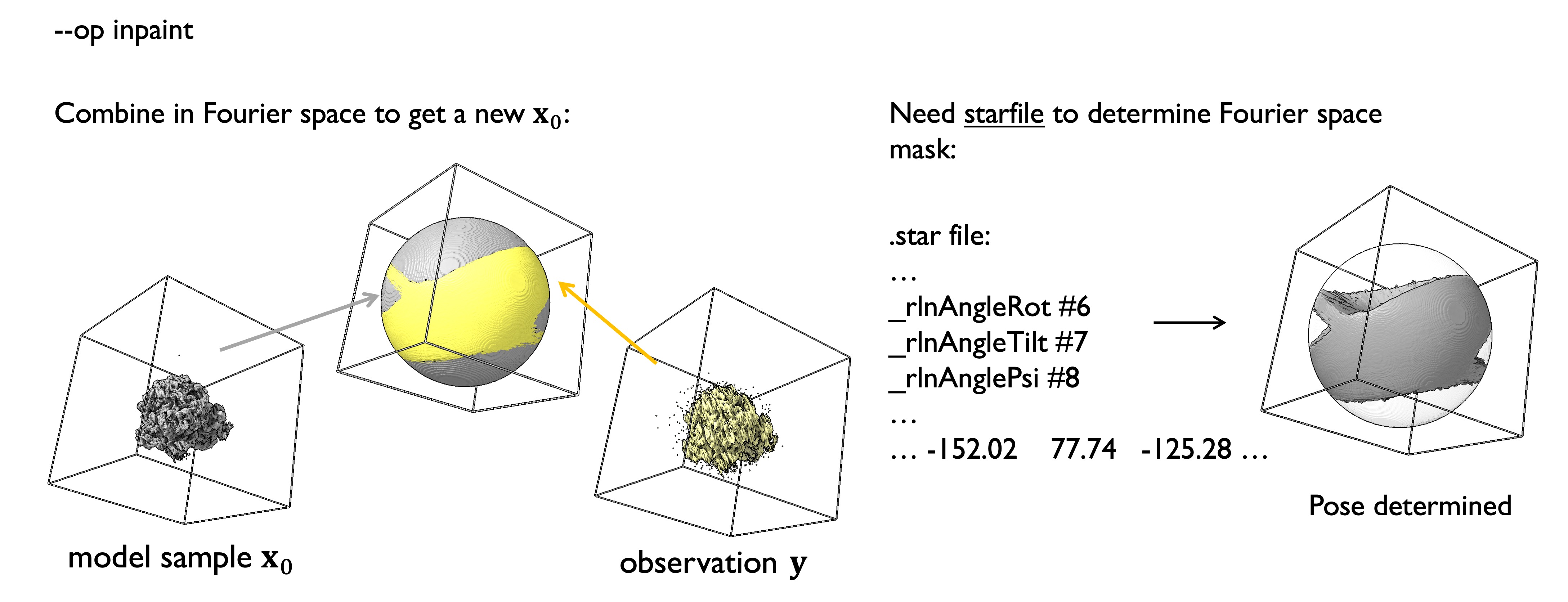 CryoFM2 operator inpaint.