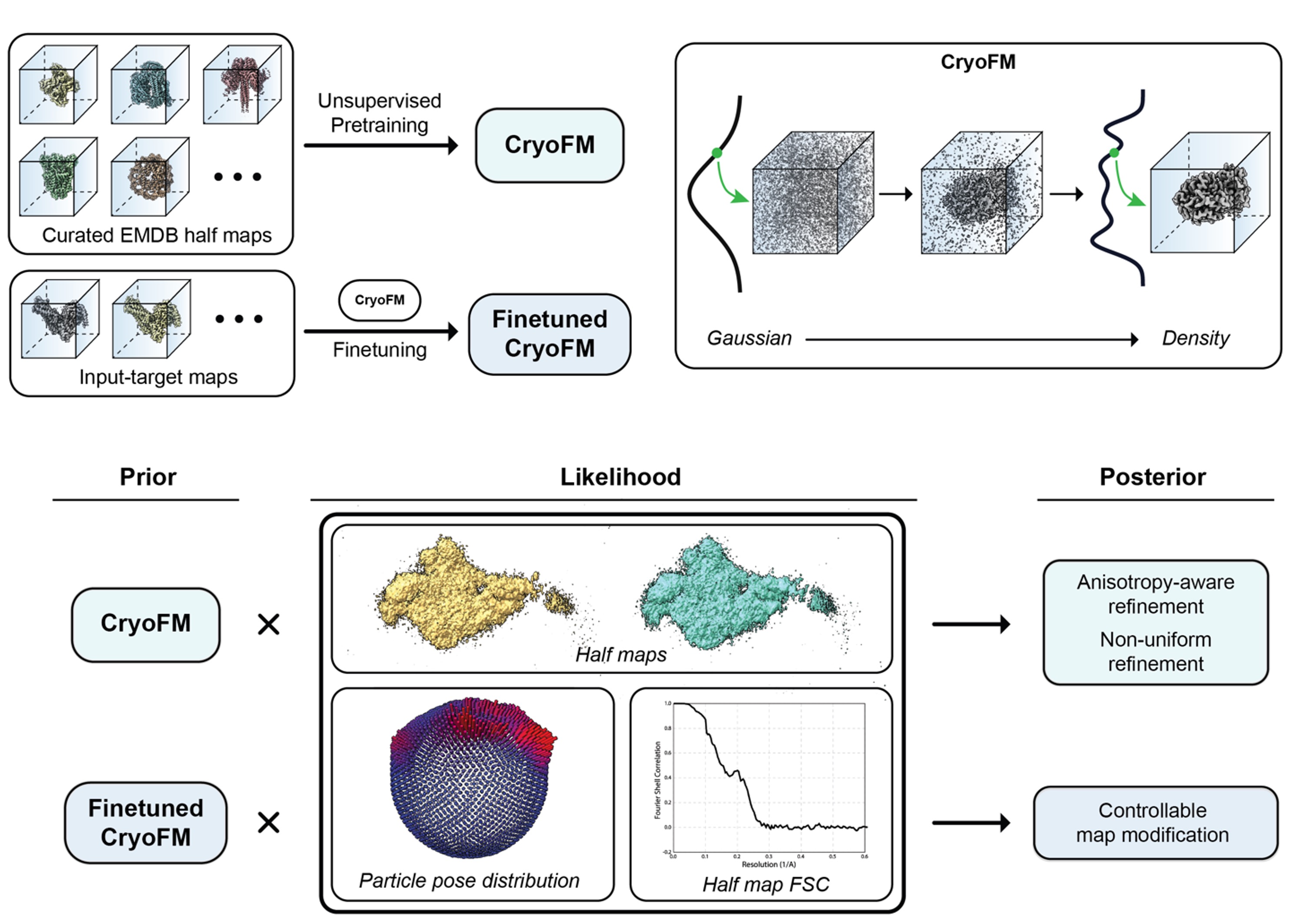 CryoFM2 overview.